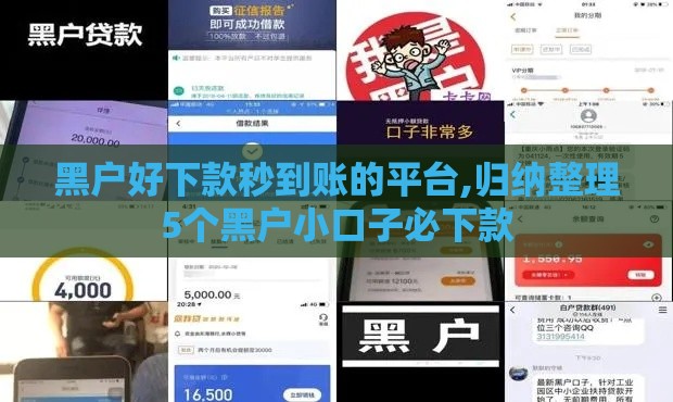 黑户好下款秒到账的平台,归纳整理5个黑户小口子必下款