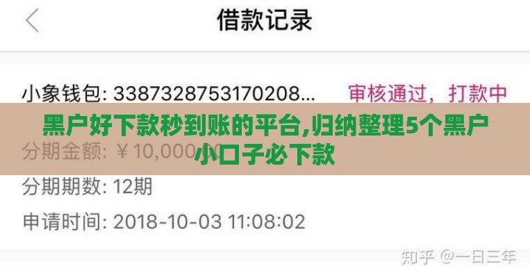黑户好下款秒到账的平台,归纳整理5个黑户小口子必下款