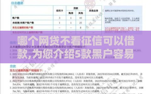 哪个网贷不看征信可以借款,为您介绍5款黑户容易出的口子