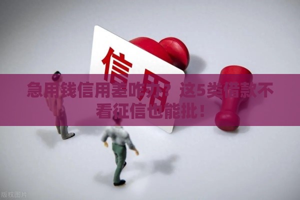 急用钱信用差咋办？这5类借款不看征信也能批！