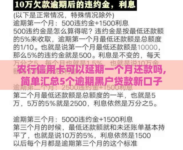 农行信用卡可以延期一个月还款吗,简单汇总5个逾期黑户贷款新口子