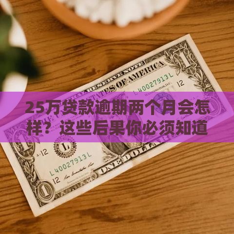25万贷款逾期两个月会怎样？这些后果你必须知道！