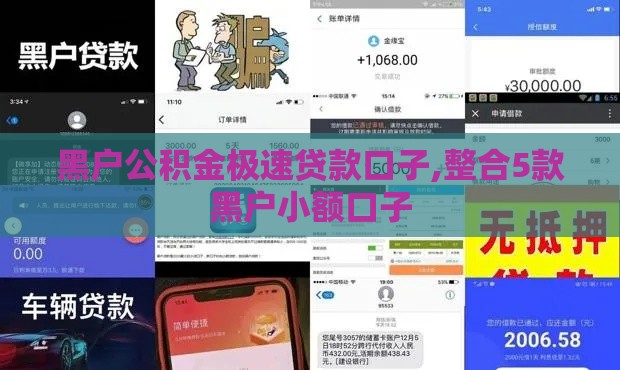 黑户公积金极速贷款口子,整合5款黑户小额口子