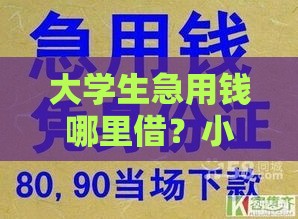 大学生急用钱哪里借？小额贷款申请攻略看这里