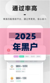 2025年黑户网贷必下款的平台,为您介绍5款黑户借300的口子