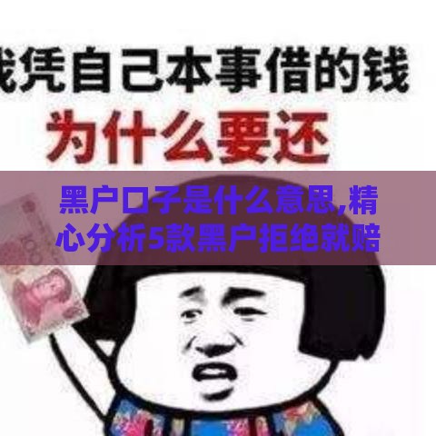 黑户口子是什么意思,精心分析5款黑户拒绝就赔的口子