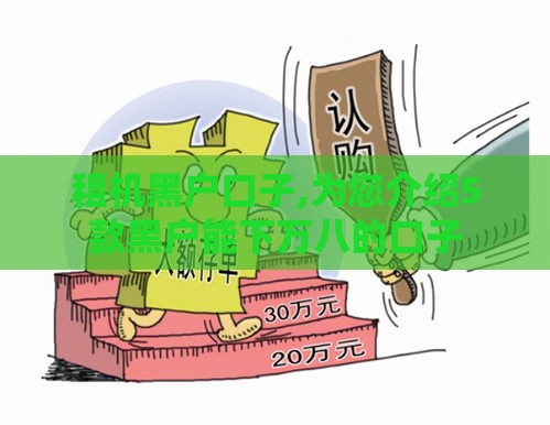 租机黑户口子,为您介绍5款黑户能下万八的口子