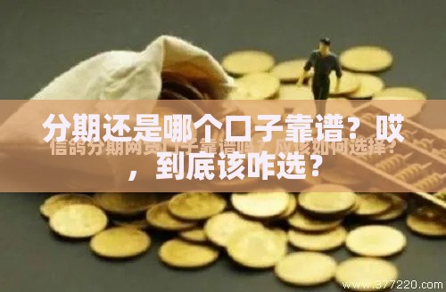 分期还是哪个口子靠谱？哎，到底该咋选？