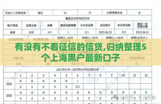 有没有不看征信的信贷,归纳整理5个上海黑户最新口子