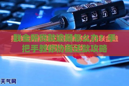 联金所贷款逾期怎么办？手把手教你协商还款攻略