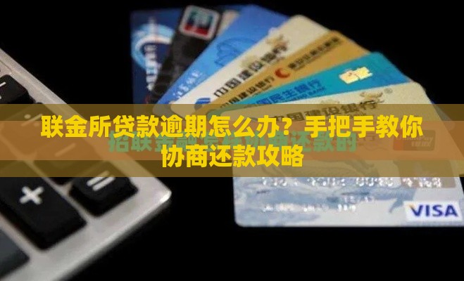联金所贷款逾期怎么办？手把手教你协商还款攻略