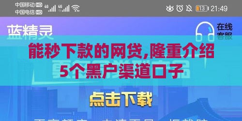 能秒下款的网贷,隆重介绍5个黑户渠道口子