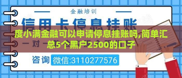 度小满金融可以申请停息挂账吗,简单汇总5个黑户2500的口子