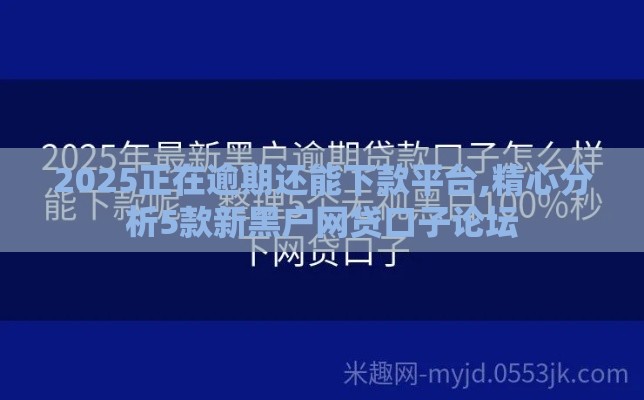 2025正在逾期还能下款平台,精心分析5款新黑户网贷口子论坛
