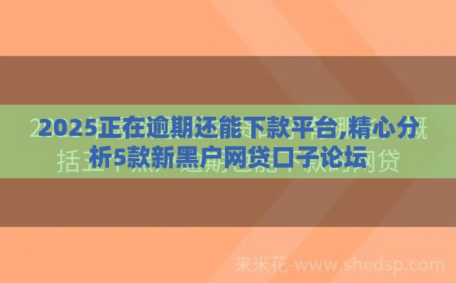 2025正在逾期还能下款平台,精心分析5款新黑户网贷口子论坛