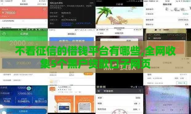 不看征信的借钱平台有哪些,全网收集5个黑户贷款口子网页