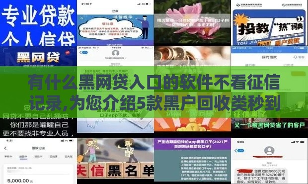 有什么黑网贷入口的软件不看征信记录,为您介绍5款黑户回收类秒到口子