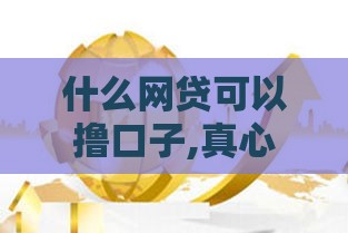 什么网贷可以撸口子,真心推荐5个双黑户必下口子