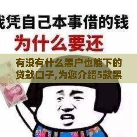 有没有什么黑户也能下的贷款口子,为您介绍5款黑户贷款口子大集合