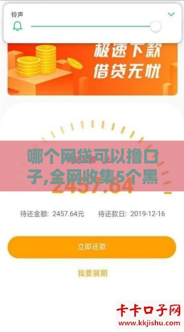 哪个网贷可以撸口子,全网收集5个黑户贷秒下款的口子