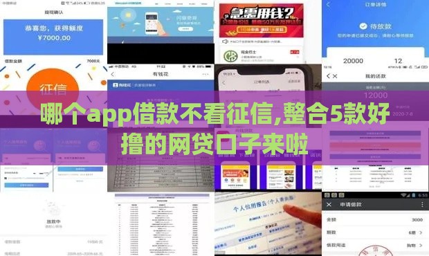 哪个app借款不看征信,整合5款好撸的网贷口子来啦