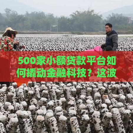 500家小额贷款平台如何撬动金融科技？这波变化太值钱了！