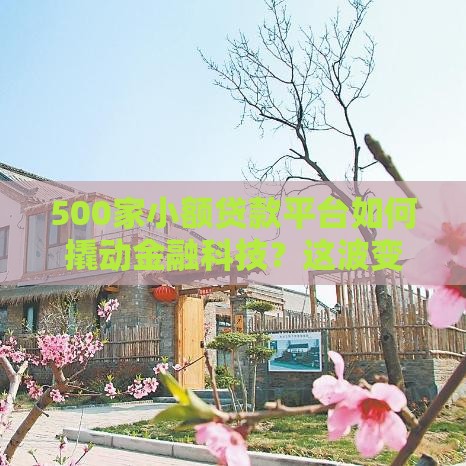 500家小额贷款平台如何撬动金融科技？这波变化太值钱了！