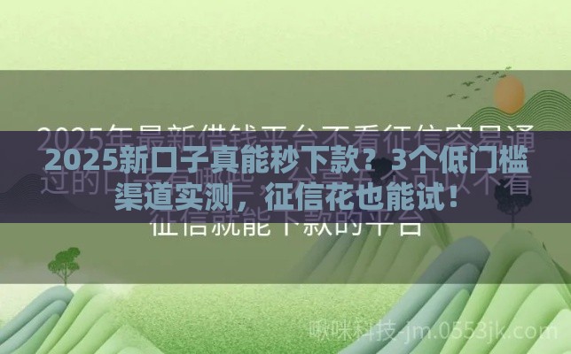 2025新口子真能秒下款?3个低门槛渠道实测,征信花也能试! 2025新口子真能秒下款?3个低门槛渠道实测,征信花也能试!