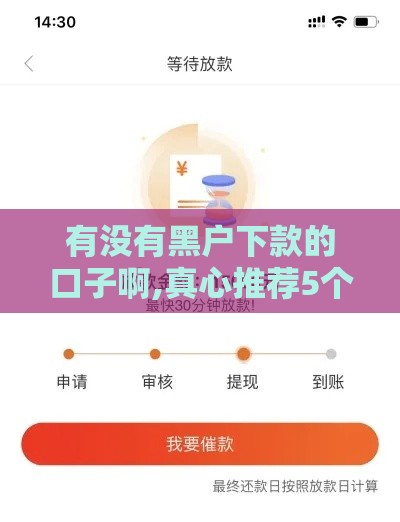 有没有黑户下款的口子啊,真心推荐5个黑户秒批五百的口子