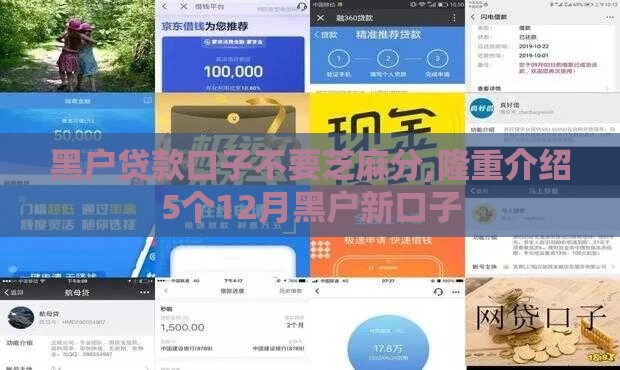 黑户贷款口子不要芝麻分,隆重介绍5个12月黑户新口子