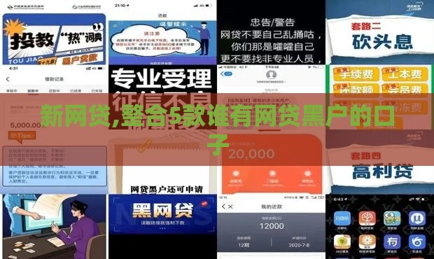 新网贷,整合5款谁有网贷黑户的口子