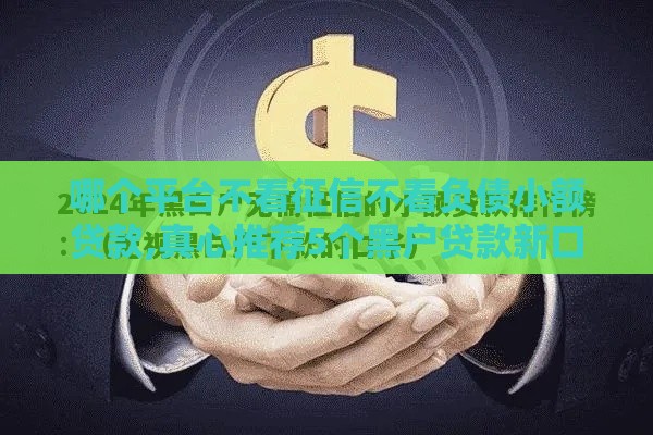 哪个平台不看征信不看负债小额贷款,真心推荐5个黑户贷款新口子大全