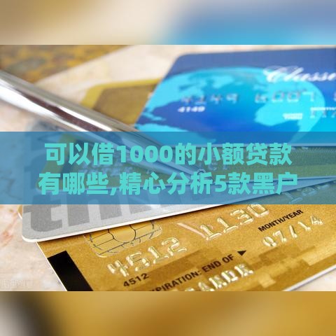 可以借1000的小额贷款有哪些,精心分析5款黑户大额下款的口子