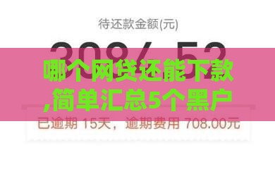 哪个网贷还能下款,简单汇总5个黑户秒过的口子