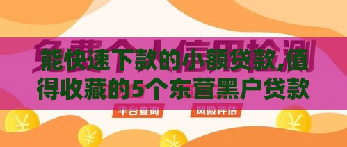 能快速下款的小额贷款,值得收藏的5个东营黑户贷款口子