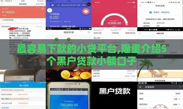 最容易下款的小贷平台,隆重介绍5个黑户贷款小额口子