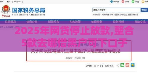 2025年网贷停止放款,整合5款去哪借黑户可下口子