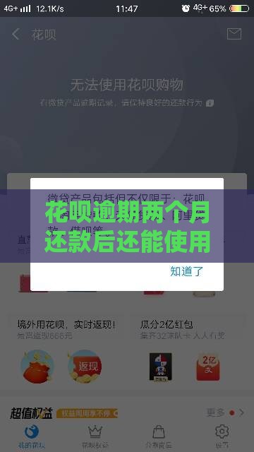 花呗逾期两个月还款后还能使用吗,全网收集5个黑户分期可下的口子 花呗逾期两个月还款后还能使用吗,全网收集5个黑户分期可下的口子