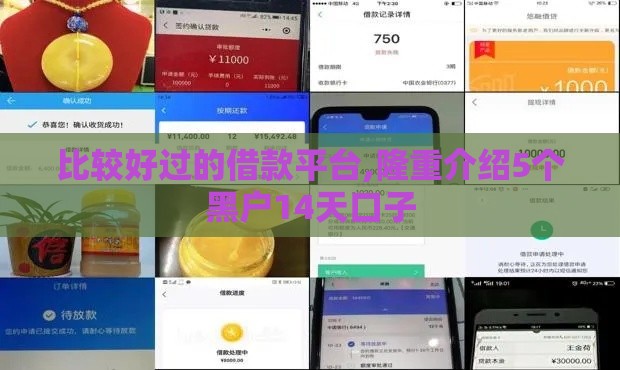 比较好过的借款平台,隆重介绍5个黑户14天口子
