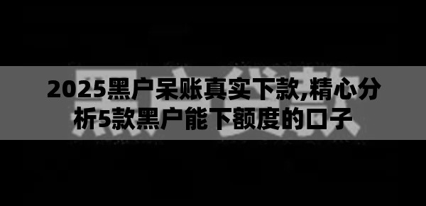 2025黑户呆账真实下款,精心分析5款黑户能下额度的口子