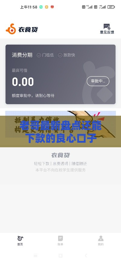 老哥最新盘点还能下款的良心口子