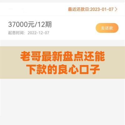 老哥最新盘点还能下款的良心口子