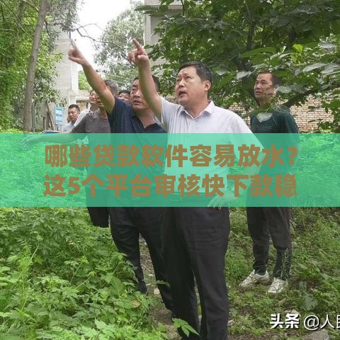 哪些贷款软件容易放水？这5个平台审核快下款稳