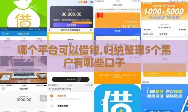 哪个平台可以借钱,归纳整理5个黑户有哪些口子