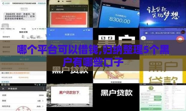 哪个平台可以借钱,归纳整理5个黑户有哪些口子
