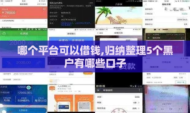 哪个平台可以借钱,归纳整理5个黑户有哪些口子