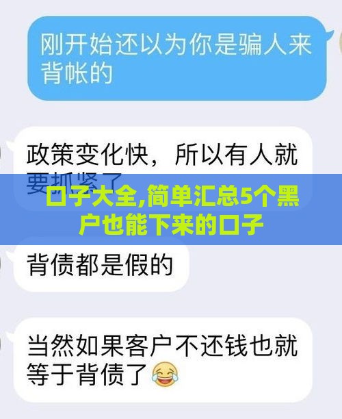 口子大全,简单汇总5个黑户也能下来的口子