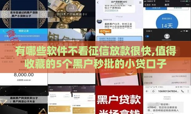 有哪些软件不看征信放款很快,值得收藏的5个黑户秒批的小贷口子