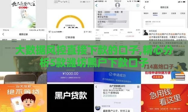大数据风控直接下款的口子,精心分析5款潍坊黑户下款口子