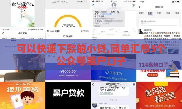 可以快速下款的小贷,简单汇总5个公众号黑户口子